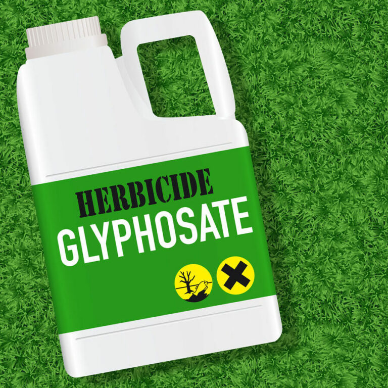 Glyphosate : nos enfants nous accuserons !