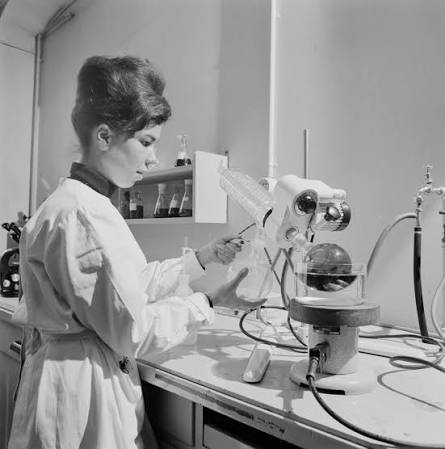 La recherche scientifique